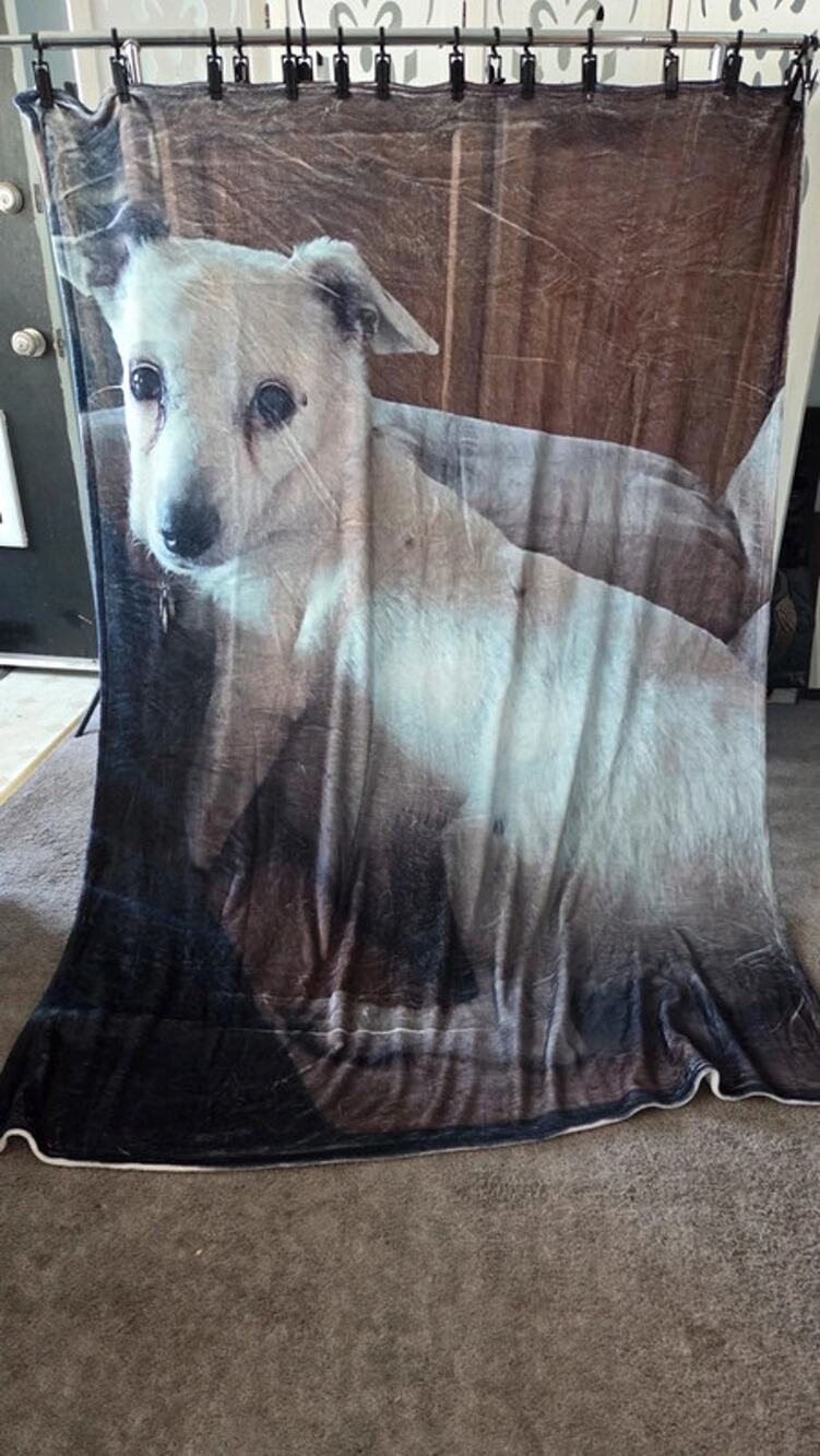 Dog Blanket 60x80 Plush Fleece Realistic Puppy Pet Lover Animal Throw NWOT